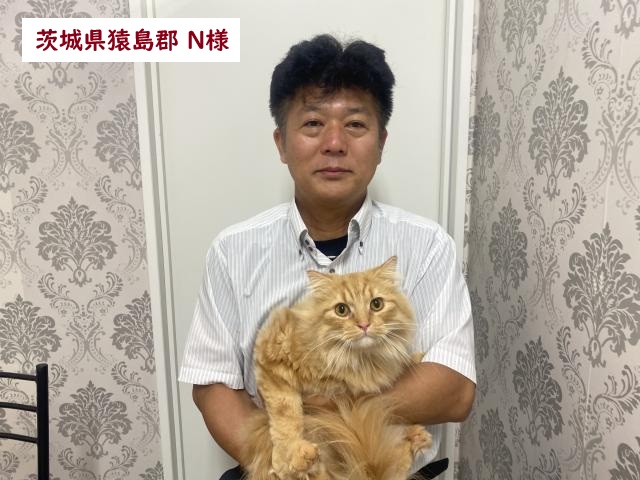 サイベリアン