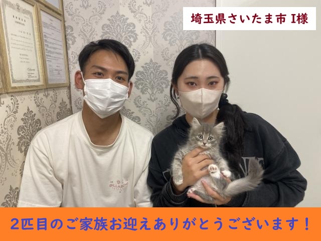 サイベリアン