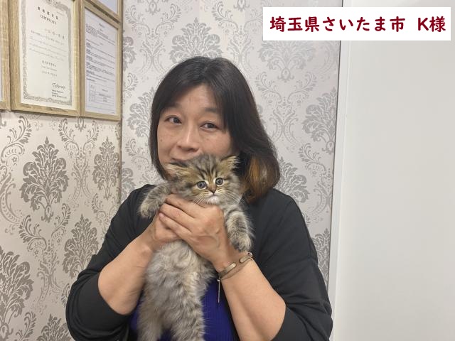 サイベリアン