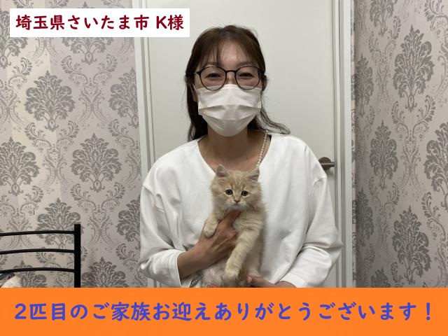 サイベリアン