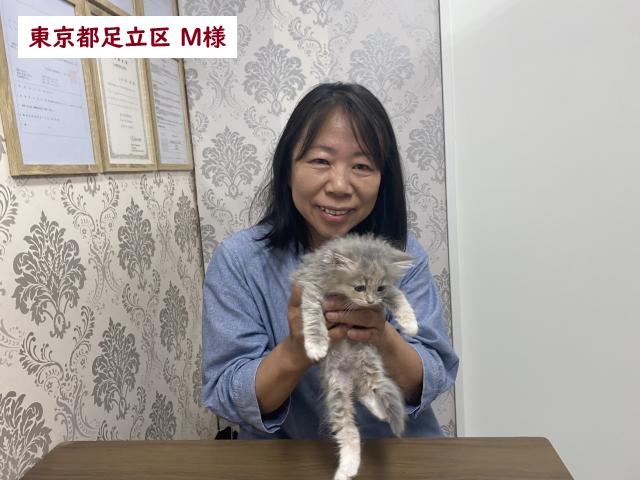 サイベリアン