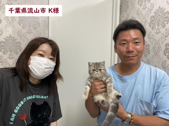 エキゾチックショートヘア
