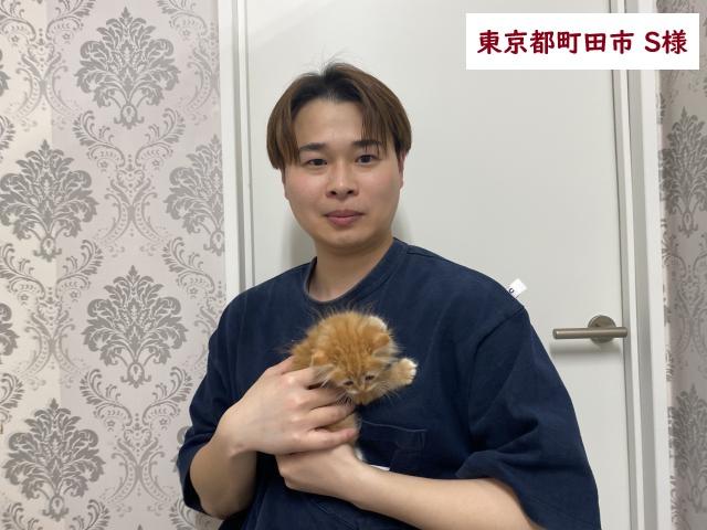 サイベリアン