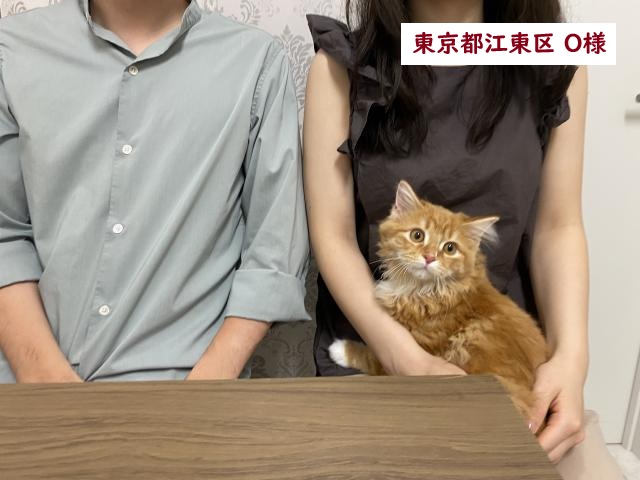 サイベリアン