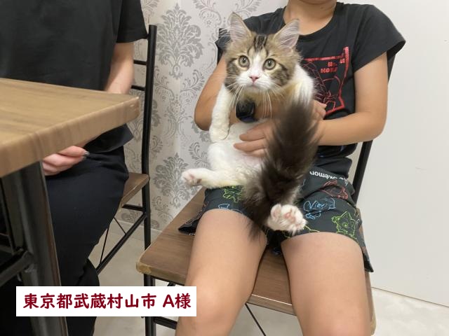 サイベリアン