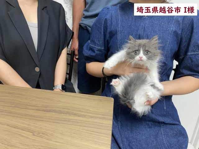 サイベリアン