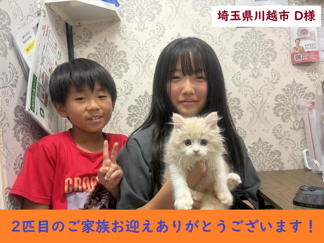 サイベリアン