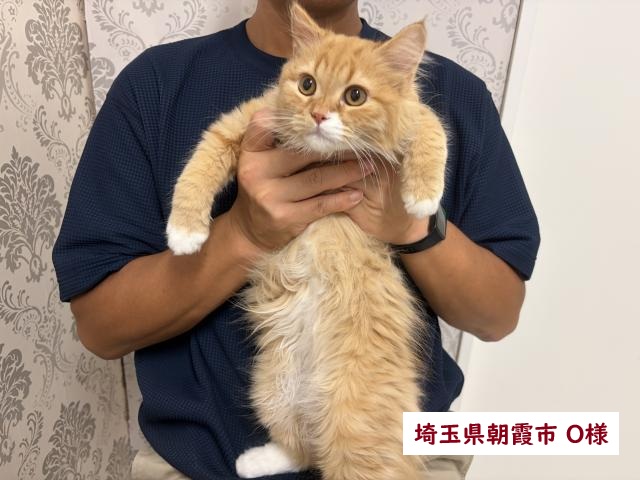 サイベリアン