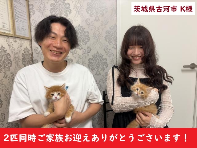 サイベリアン