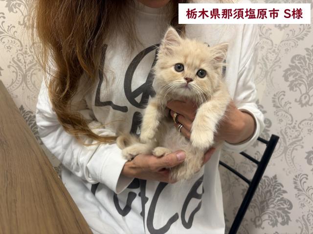 サイベリアン