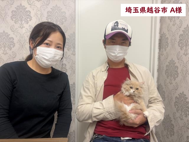 サイベリアン