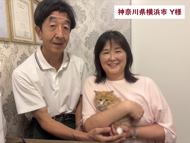 サイベリアン