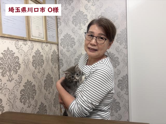 サイベリアン