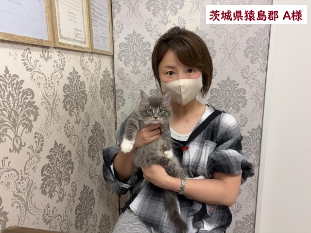 サイベリアン