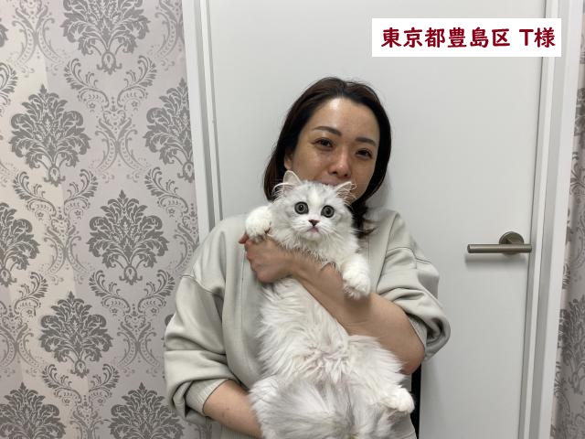 ミヌエット足長