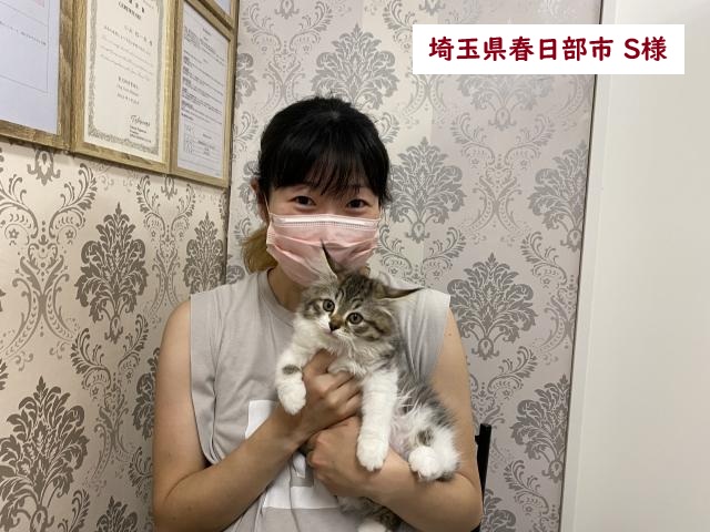 サイベリアン