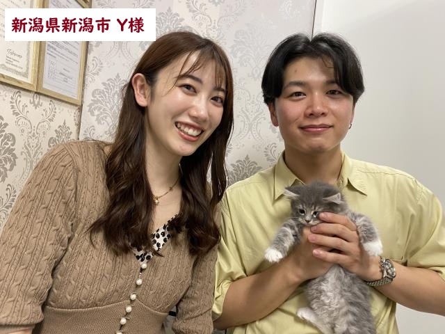 サイベリアン