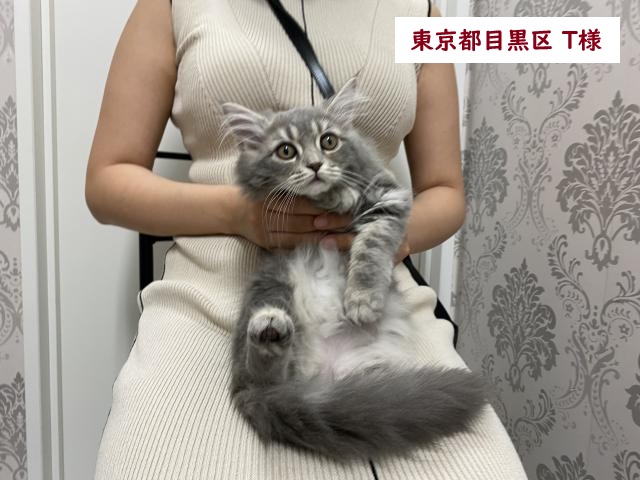 サイベリアン
