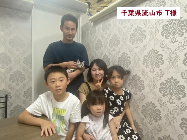 アメリカンショートヘアー