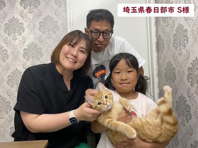 ミヌエット 足長