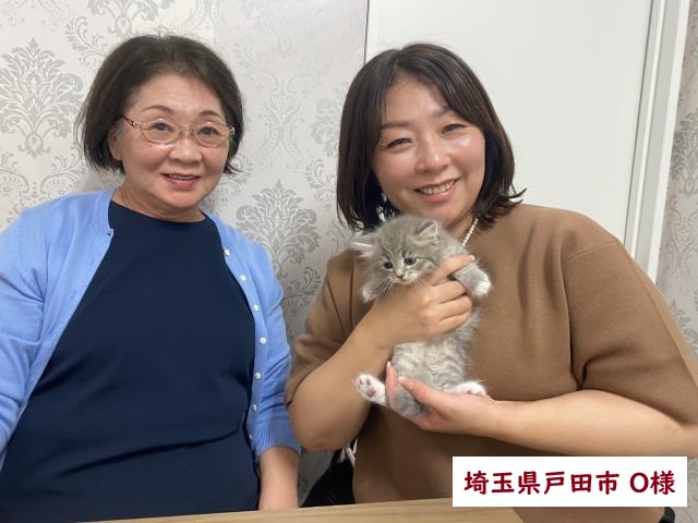 サイベリアン