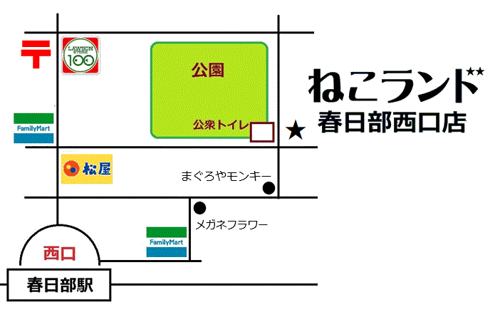 周辺地図